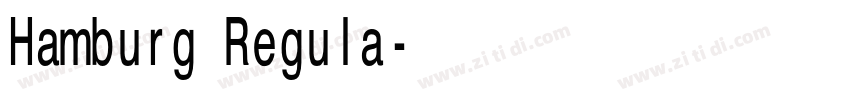 Hamburg Regula字体转换